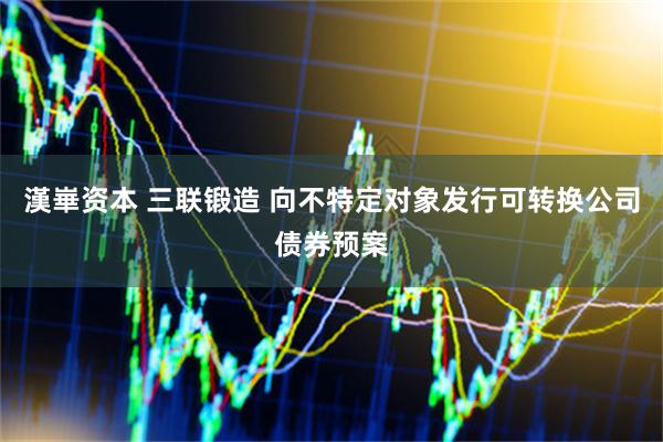 漢崋资本 三联锻造 向不特定对象发行可转换公司债券预案