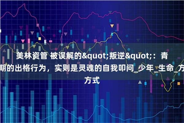 美林资管 被误解的"叛逆"：青春期的出格行为，实则是灵魂的自我叩问_少年_生命_方式