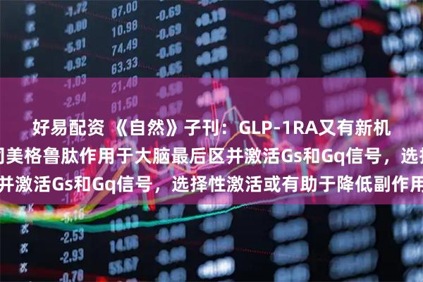 好易配资 《自然》子刊:GLP-1RA又有新机制!科学家首次证实,司美格鲁肽作用于大脑最后区并激活Gs和Gq信号,选择性激活或有助于降低副作用